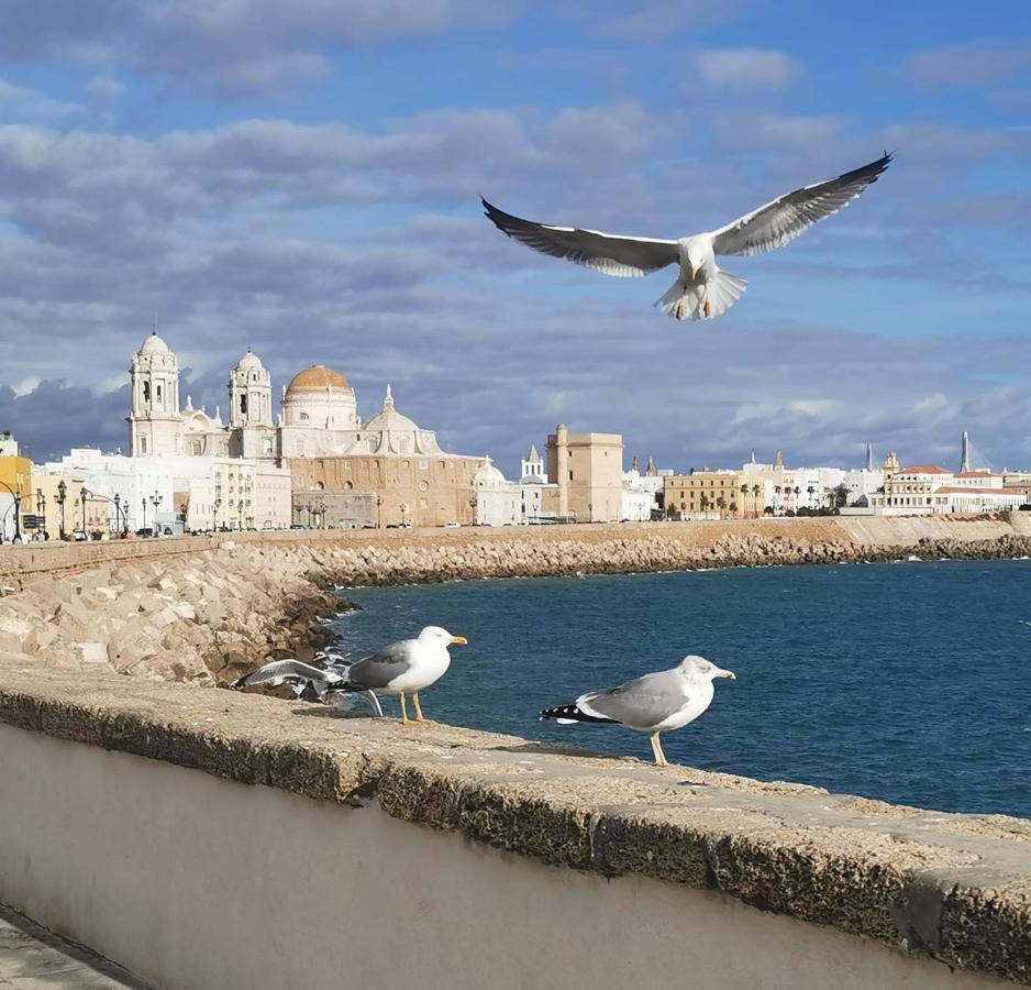 Apartamento Suite Caleta カディス エクステリア 写真